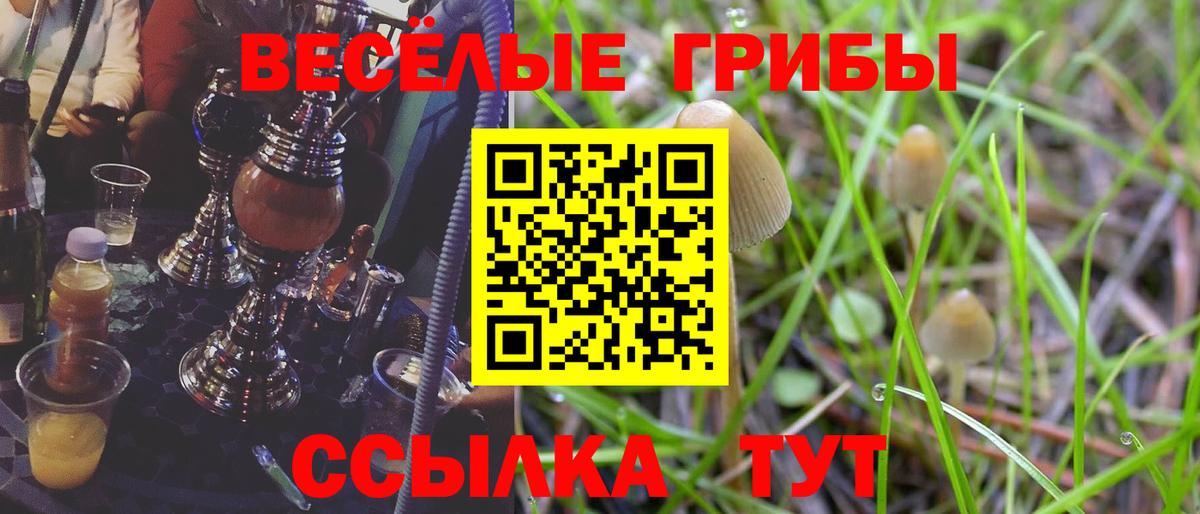 Псилоцибиновые грибы мухоморы  Вход с VPN  Топки 